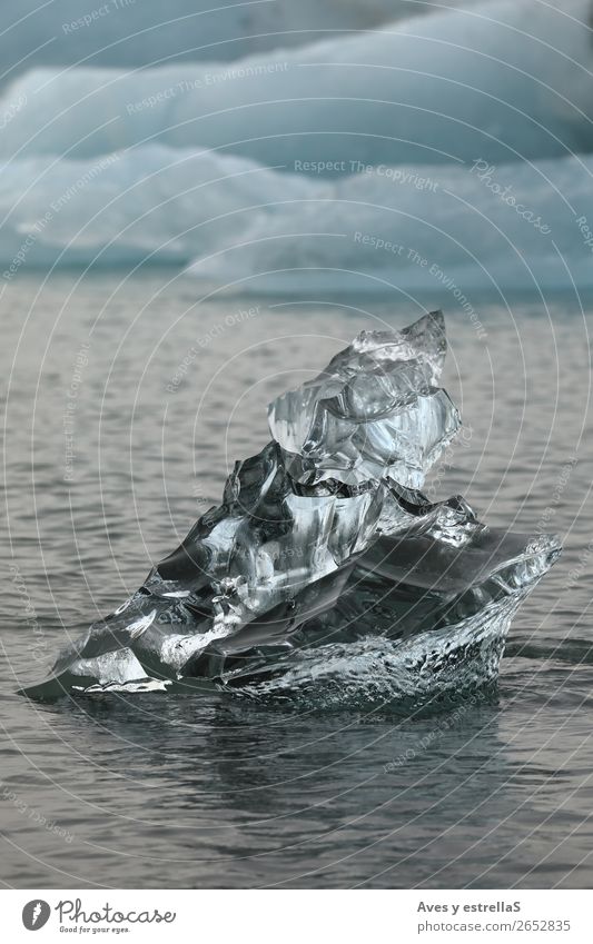 Formen auf einem Stück Gletschereis Meer Insel Winter Umwelt Natur Wasser Klima Klimawandel Eis Frost Nordsee Kristalle frieren kalt blau schwarz silber weiß