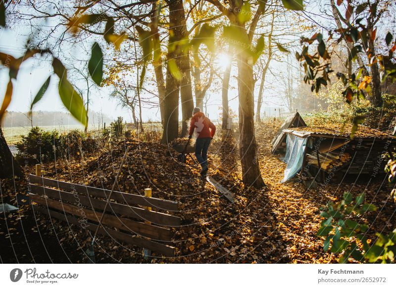 Mann fährt eine Schubkarre voll Laub auf den Kompost im Herbst Lifestyle Gartenarbeit Herbstlaub herbstlich Herbstlandschaft Häusliches Leben Mensch Erwachsene