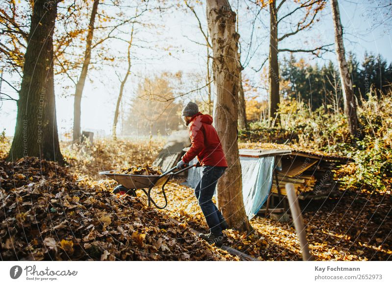 Mann in roter Jacke schiebt eine Schubkarre voller Blätter einen Laubhaufen hoch Aktivität Herbst Hinterhof Beanie Botanik Reinigen Säuberung fallen Fallout
