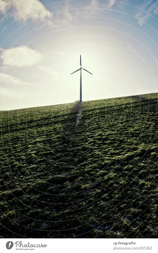 Hoffnung Technik & Technologie Fortschritt Zukunft Energiewirtschaft Erneuerbare Energie Windkraftanlage Landschaft Sonnenlicht Frühling Schönes Wetter Gras