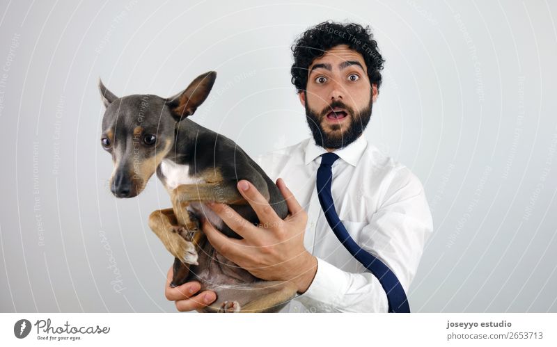 Mann mit einem kleinen Hund in der Hand. Aktion reizvoll Erwachsene Tier Hintergrund neutral Transparente Biest schön Dose heiter niedlich heimisch Energie