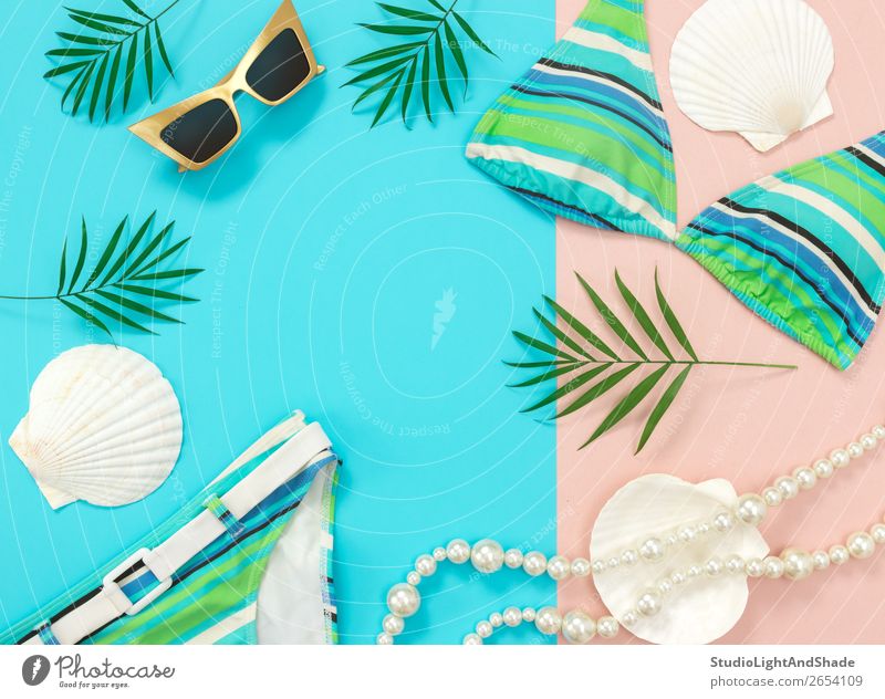 Sommermode flach auf blauem und rosa Hintergrund liegend Reichtum elegant Stil Design exotisch schön Ferien & Urlaub & Reisen Strand Meer feminin Pflanze Baum