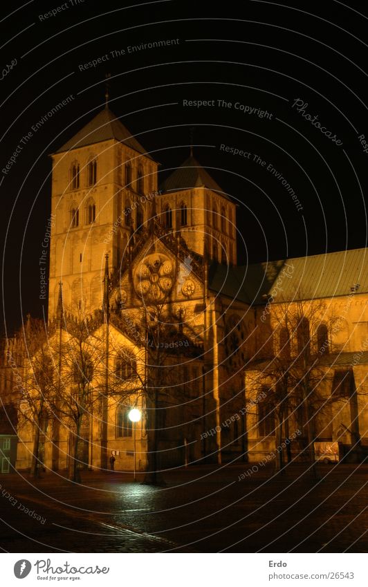 Dom zu Münster Dach Baum dunkel Nacht Nachtaufnahme Laterne Architektur Domplatz Turm Religion & Glaube