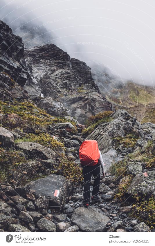 Aufstieg zur Braunschweiger Hütte | E5 Ferien & Urlaub & Reisen Abenteuer wandern Mensch Natur Landschaft Herbst schlechtes Wetter Nebel Alpen Berge u. Gebirge