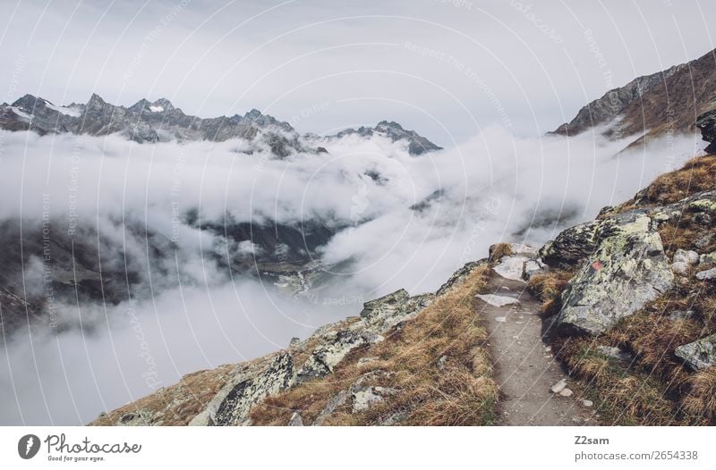 Aufstieg zur Braunschweiger Hütte | E5 Ferien & Urlaub & Reisen Abenteuer Berge u. Gebirge wandern Natur Landschaft Herbst schlechtes Wetter Nebel Alpen