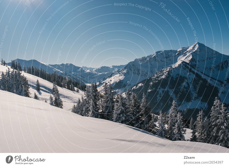 Winterwonderland Umwelt Natur Landschaft Schönes Wetter Eis Frost Schnee Wald Alpen Berge u. Gebirge natürlich blau ruhig Einsamkeit Idylle nachhaltig