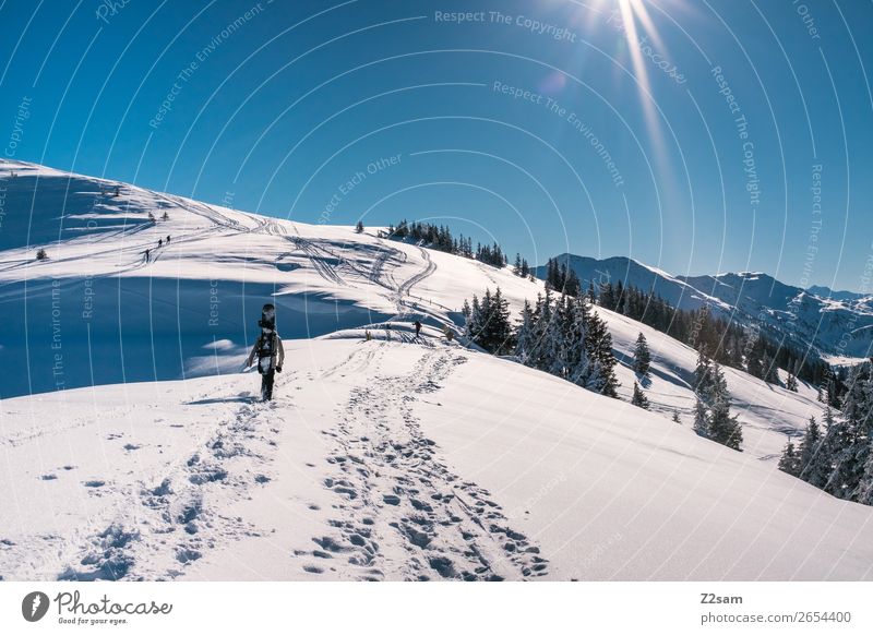 Tourengeher | Freerider Lifestyle Stil Ferien & Urlaub & Reisen Ausflug Abenteuer Berge u. Gebirge wandern Wintersport Snowboard maskulin Natur Landschaft Sonne
