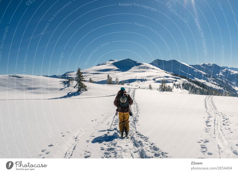 Tourengeher | Freerider Ausflug Berge u. Gebirge wandern Wintersport Skifahren Natur Landschaft Wolkenloser Himmel Schönes Wetter Schnee Alpen gehen hoch kalt