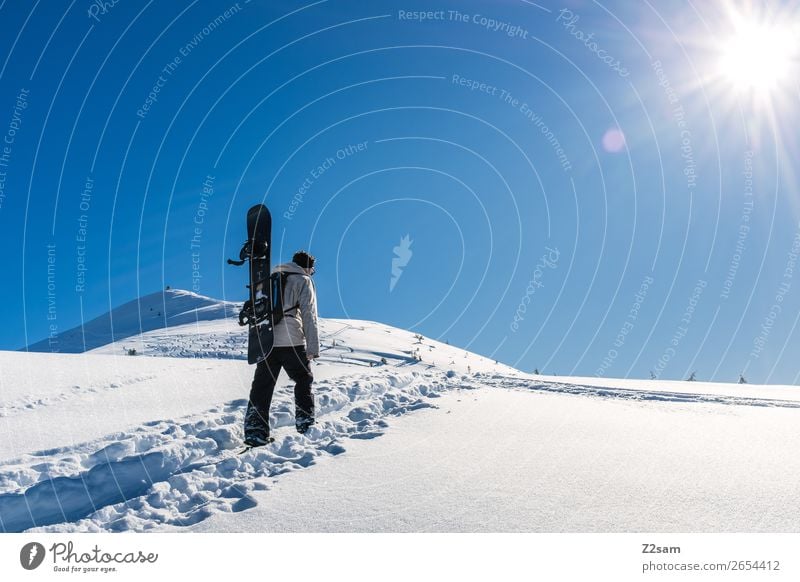 Tourengeher | Freerider Freizeit & Hobby Ferien & Urlaub & Reisen Abenteuer Freiheit Winterurlaub Wintersport Skifahren Snowboard Mensch Natur Landschaft Sonne