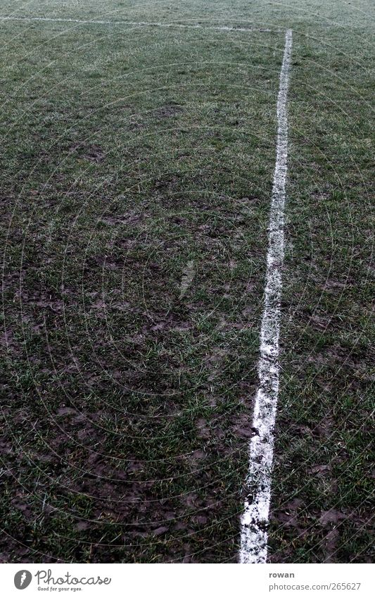 streifen schlechtes Wetter Unwetter Gras Wiese Feld braun grün Freizeit & Hobby Konkurrenz Leidenschaft Sport Streifen Schilder & Markierungen Markierungslinie