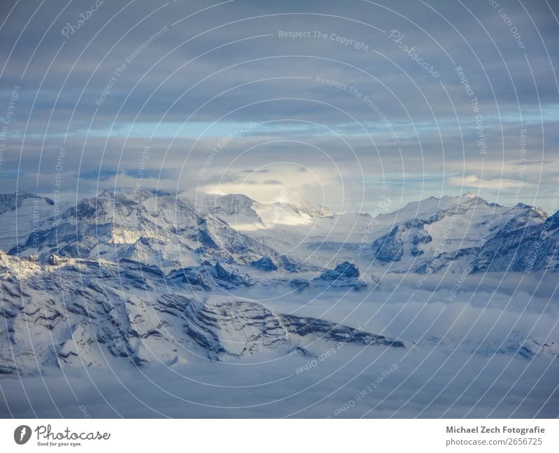 Erstaunliche Luftaufnahme der nebligen Schweizer Alpen und Wolken Ferien & Urlaub & Reisen Winter Schnee Berge u. Gebirge Natur Landschaft Himmel Horizont