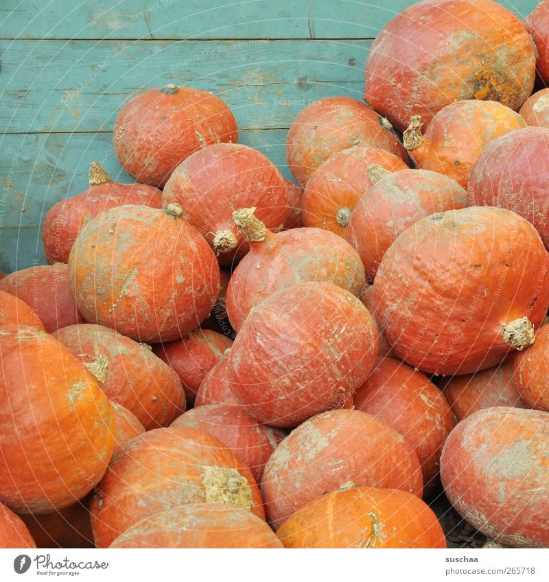 viele kürbisse auf einem haufen Herbst rund saftig Ernährung Nahrungsmittel Frucht Gemüse Kürbis Landwirtschaft Ackerbau Ernte orange lagern Farbfoto