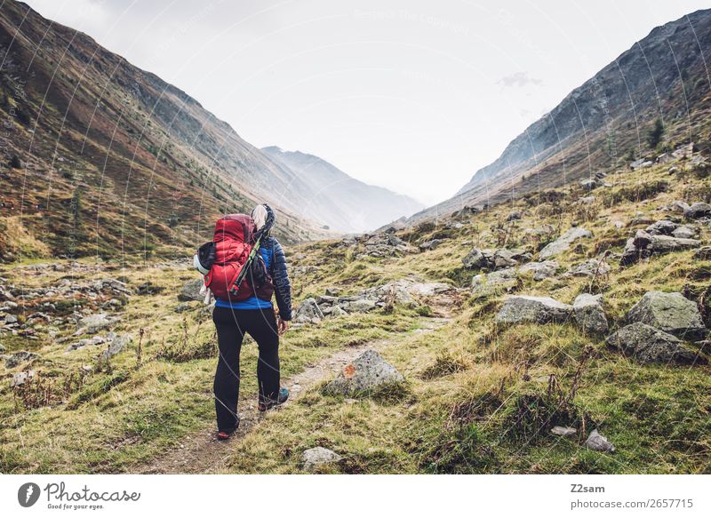 Junge Frau beim Aufstieg zum Timmelsjoch | E5 Ferien & Urlaub & Reisen Abenteuer Expedition Berge u. Gebirge wandern Natur Landschaft Herbst Nebel Wiese Felsen