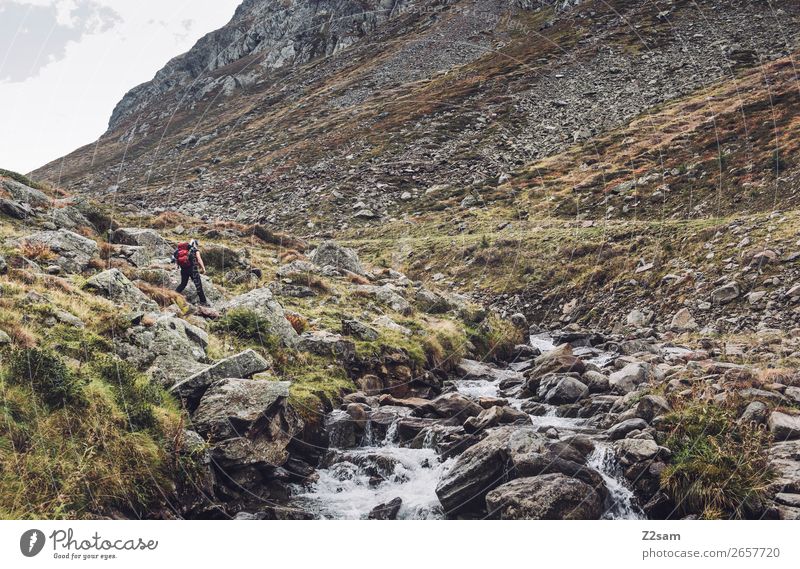 Junge Frau beim Wandern am Timmelsjoch | E5 Freizeit & Hobby Ferien & Urlaub & Reisen Abenteuer wandern Jugendliche Natur Landschaft Herbst Felsen Alpen