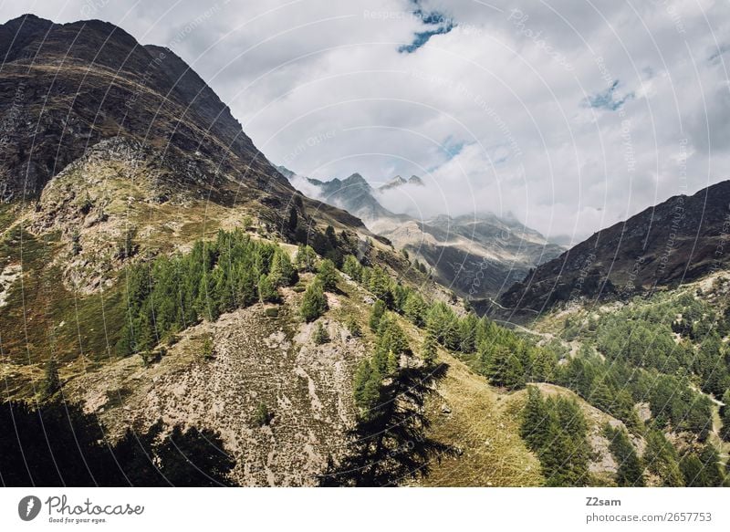 Alpen | Südtirol Abenteuer wandern Natur Landschaft Wolken Schönes Wetter Berge u. Gebirge Gipfel bedrohlich gigantisch natürlich grün Einsamkeit Freiheit