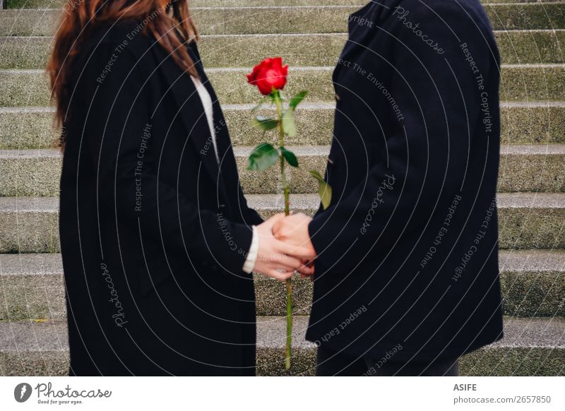 Liebe Zukunft ist eine Frage von zweien Freude Glück schön Winter Feste & Feiern Valentinstag Frau Erwachsene Mann Paar Hand Herbst Blume Straße Mantel