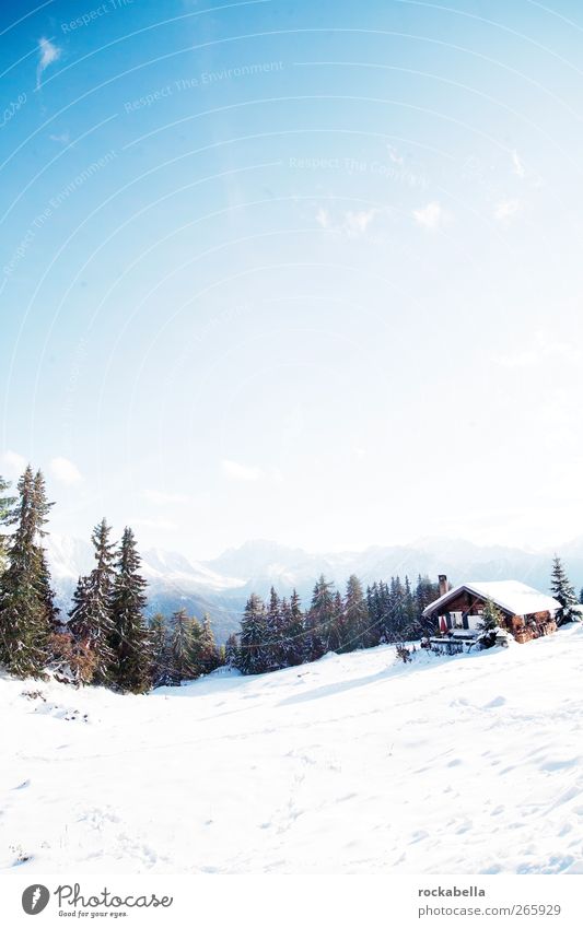 Switzerland | Schweiz | Suisse | Svizzera. Umwelt Natur Landschaft Alpen Berge u. Gebirge kalt Schnee Winter Sonnenlicht Hütte Farbfoto Außenaufnahme