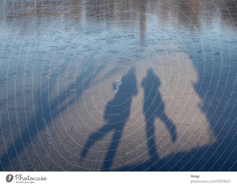 Schatten von zwei tanzenden Menschen auf einer Eisfläche Freizeit & Hobby feminin 2 60 und älter Senior Umwelt Natur Winter Schönes Wetter Frost Seeufer