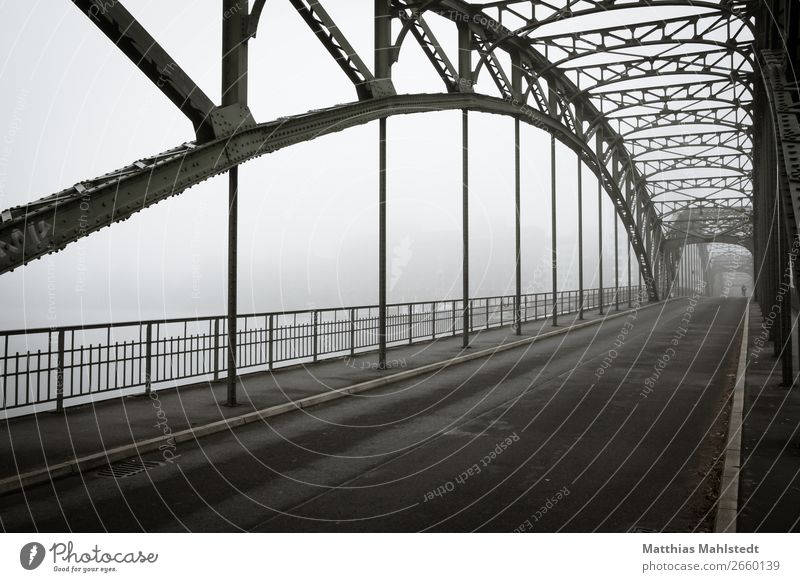 Eiswerderbrücke in Berlin bei Nebel Umwelt Landschaft Herbst See Brücke Verkehr Verkehrswege Personenverkehr Straßenverkehr Fahrradfahren retro Stadt grau