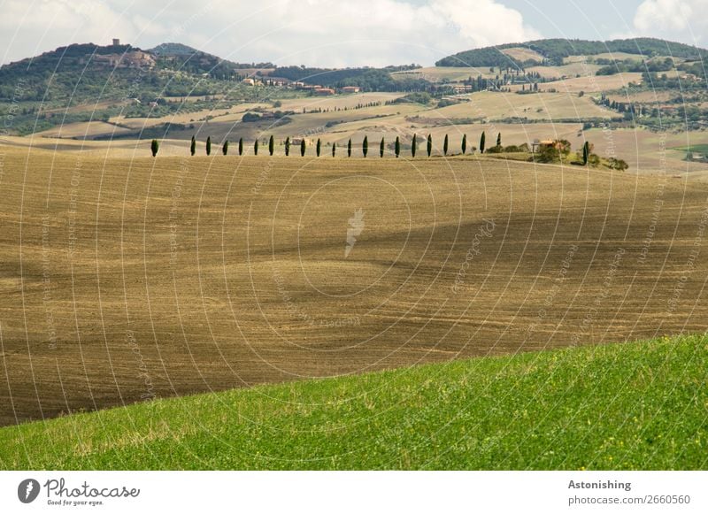 Reihe Umwelt Natur Landschaft Pflanze Sand Himmel Wolken Horizont Sommer Wetter Baum Gras Sträucher Zypresse Wiese Feld Hügel Toskana Italien Haus alt braun