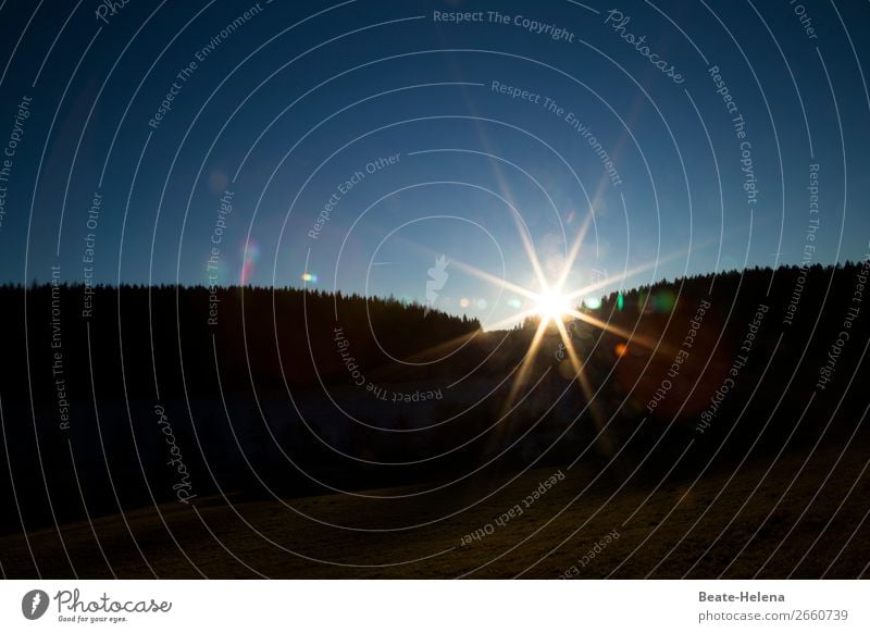 Sonnenaufgang Wald Hügel Sonnenlicht Stern Erleuchtung neuer Tag Zukunft