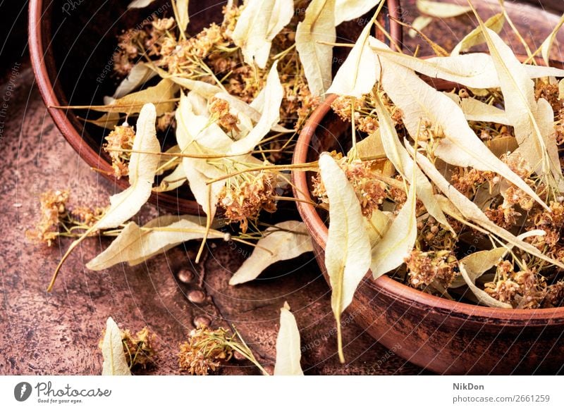 Trockenes Lindenblatt Kraut Pflanze medizinisch Tee Gesundheit Blatt alternativ Minenwerfer Homöopathie Heilung Therapie geblümt Kalk Getränk trocknen