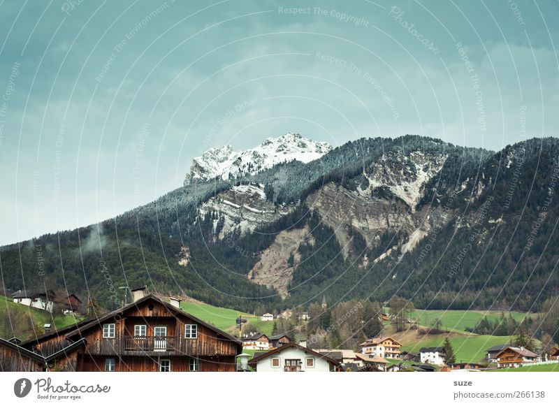 Südtirol Ferien & Urlaub & Reisen Sommer Berge u. Gebirge Häusliches Leben Umwelt Natur Landschaft Urelemente Himmel Klima Schönes Wetter Wiese Wald Alpen