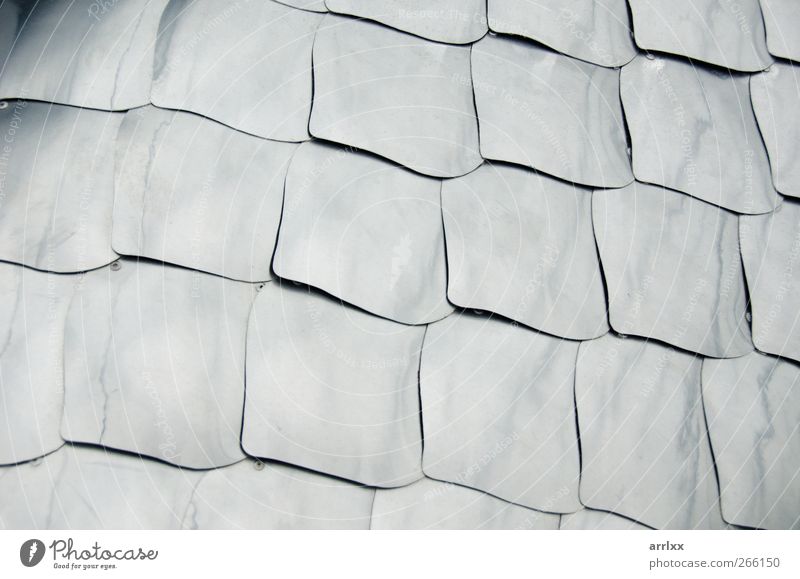 Silberschuppen / Silberne Metallplatte Hintergrund Kunst Skulptur Mauer Wand Dekoration & Verzierung Stahl ästhetisch Coolness Kraft Schuppen Platten Struktur