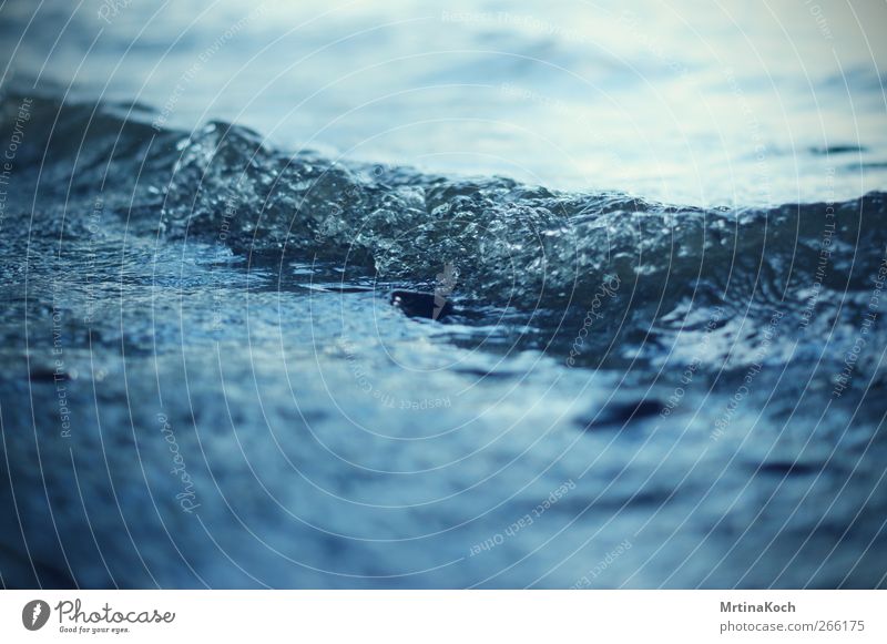 überschlag. Umwelt Natur Landschaft Wasser Wassertropfen Sommer Klima Wetter Schönes Wetter Wellen Küste Seeufer Flussufer Strand Teich Bach Glück Farbfoto