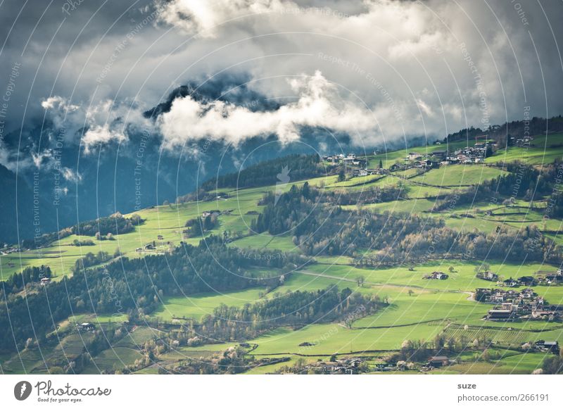 Ins Tal schau' Sommer Berge u. Gebirge Umwelt Natur Landschaft Urelemente Himmel Wolken Klima Schönes Wetter Baum Wiese Wald Alpen außergewöhnlich schön grün