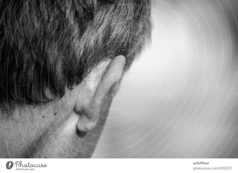 Lauscher auf! Mensch maskulin Mann Erwachsene Haut Haare & Frisuren Ohr Angst hören Hals Rückansicht Hinterkopf Leberfleck Schwarzweißfoto Außenaufnahme