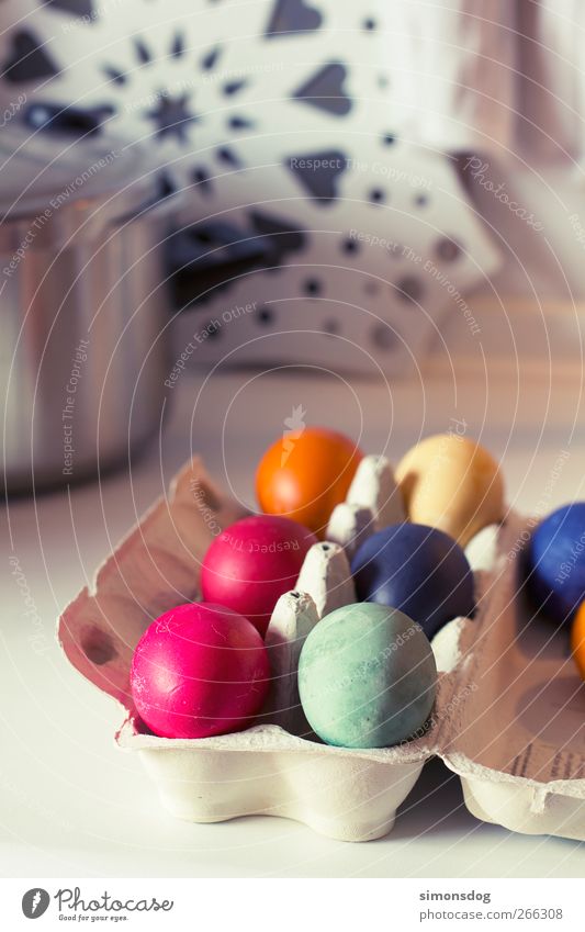 ostereier Lebensmittel Ei Feste & Feiern Ostern frisch blau gelb grün rosa Frühlingsgefühle Vorfreude orange Eierkarton Verpackung färben Osterei Farbe