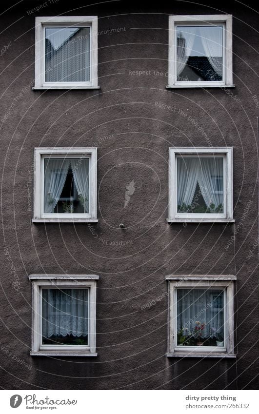 Nachbarn Stadt Menschenleer Haus Architektur Fassade Fenster Fensterbrett Stein Beton trist braun weiß Einsamkeit Zufriedenheit Häusliches Leben Häuserzeile