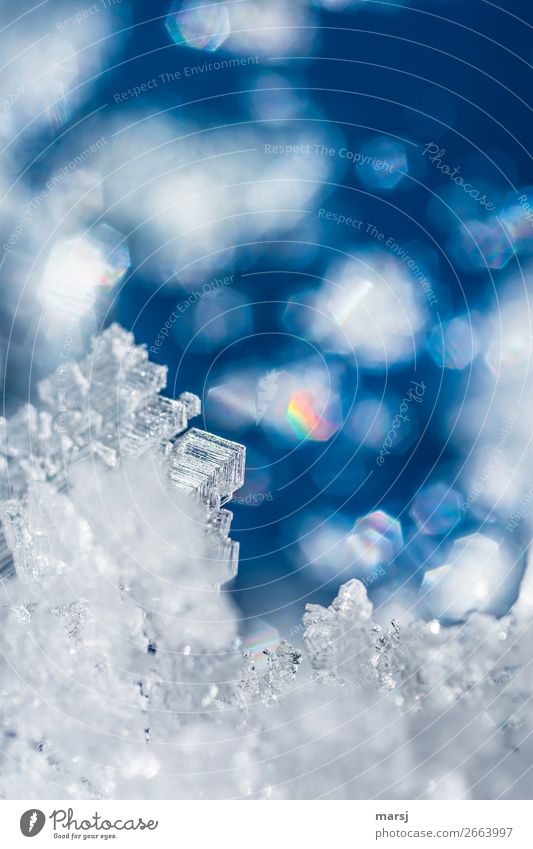 Kristall mit bunten Reflexionen Eis Frost Eiskristall Kristalle leuchten außergewöhnlich blau regenbogenfarben einzigartig Vergänglichkeit bezaubernd Traumwelt