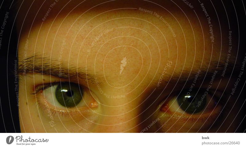 Green Eyes grün Kontaktlinse Makroaufnahme Mann Auge unter Lampe ohne Blitz