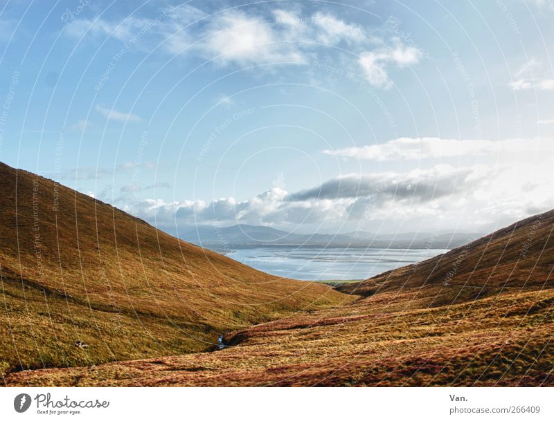Da hinten, das Meer! Ferien & Urlaub & Reisen Natur Landschaft Pflanze Erde Luft Wasser Himmel Wolken Herbst Gras Moos Wiese Hügel Atlantik Bach Republik Irland