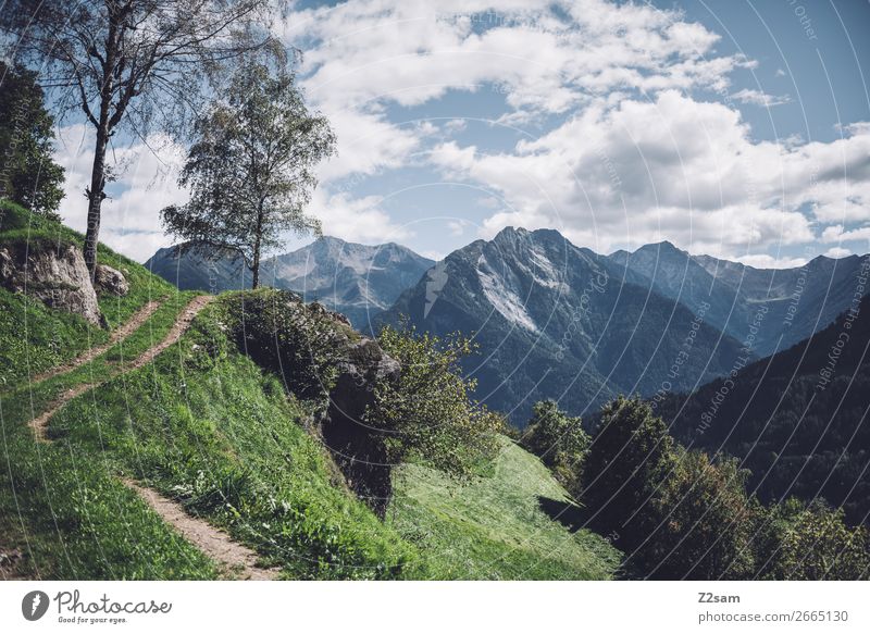 Bergpanorama in Südtirol Berge u. Gebirge wandern Natur Landschaft Himmel Wolken Sommer Schönes Wetter Baum Alpen Gipfel natürlich blau grün Idylle nachhaltig