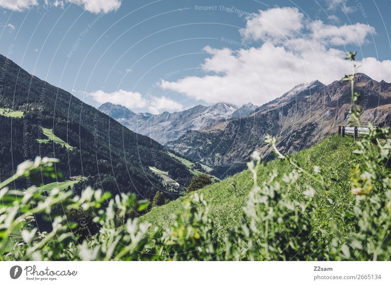 Südtiroler Alpen | Transalp wandern Klettern Bergsteigen Natur Landschaft Himmel Wolken Sonne Sommer Schönes Wetter Blume Wiese Berge u. Gebirge Unendlichkeit
