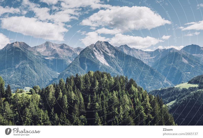 Südtiroler Alpen Berge u. Gebirge wandern Umwelt Natur Landschaft Himmel Wolken Sommer Schönes Wetter Wald Gipfel gigantisch nachhaltig natürlich blau grün