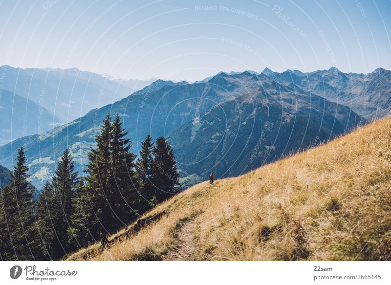 Bergpanorama in Südtirol wandern Umwelt Natur Landschaft Wolkenloser Himmel Sommer Schönes Wetter Alpen Berge u. Gebirge hoch natürlich blau Einsamkeit Erholung