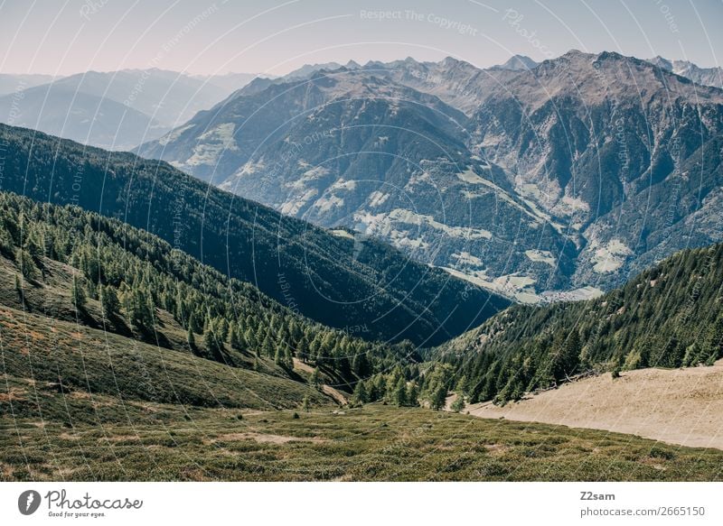 Bergpanorama Südtirol wandern Klettern Bergsteigen Umwelt Natur Landschaft Wolkenloser Himmel Sommer Schönes Wetter Wald Alpen Berge u. Gebirge Gipfel