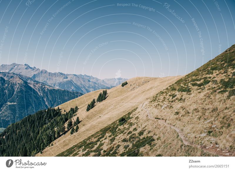 Hirzer in Südtirol wandern Umwelt Natur Landschaft Wolkenloser Himmel Sonne Sommer Schönes Wetter Wiese Alpen Berge u. Gebirge Gipfel Unendlichkeit hoch