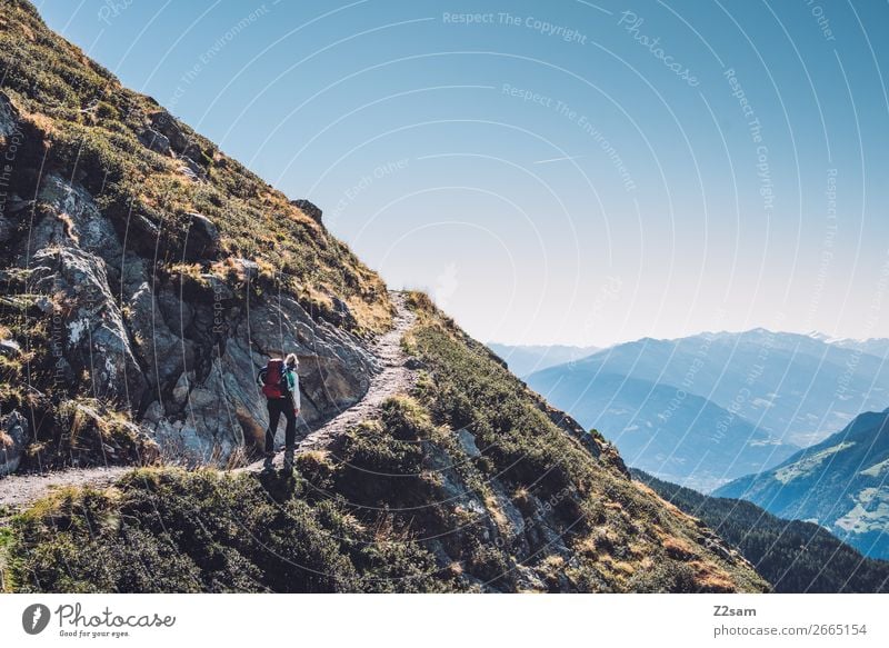 Aufstieg zum Hirzer in Südtirol | Alpenüberquerung E5 Berge u. Gebirge wandern Klettern Bergsteigen Natur Landschaft Wolkenloser Himmel Sommer Schönes Wetter