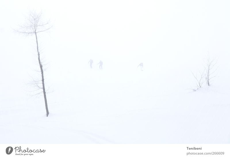Whiteout Winter Schnee Mensch Natur Nebel Baum Einsamkeit Außenaufnahme Hintergrund neutral Totale High Key Schneelandschaft Schneedecke Unschärfe