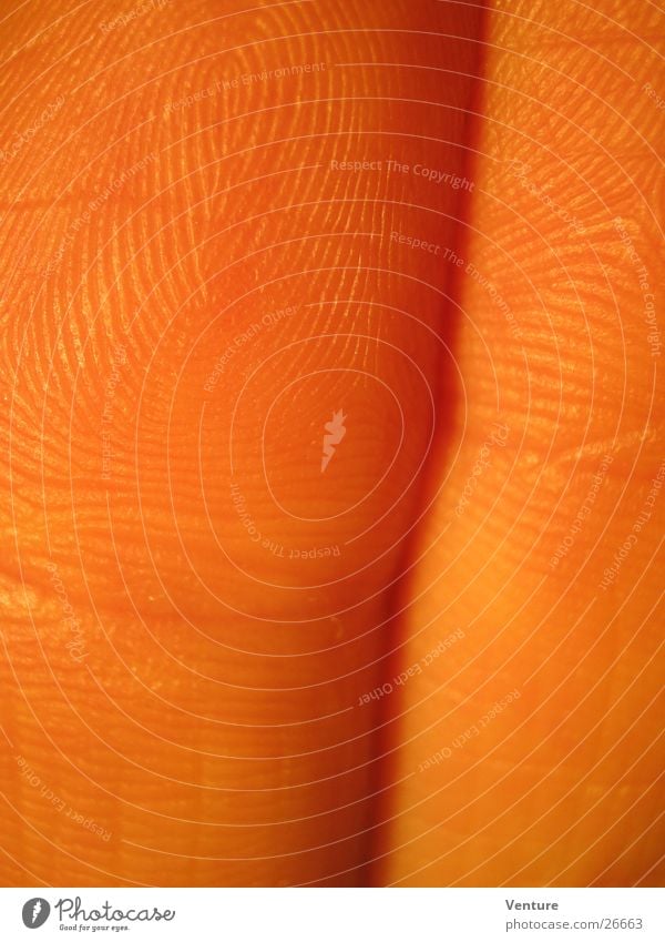 Nachbarn Finger Fingerabdruck Hand Physik Abendsonne berühren Mensch Detailaufnahme Gliedmaßen Haut Nahaufnahme Makroaufnahme orange Wärme Sinnesorgane