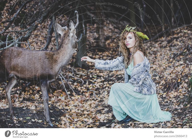 Ein Mädchen und ein Hirsch im Wald. Lifestyle elegant schön Haare & Frisuren Mensch feminin Junge Frau Jugendliche Erwachsene 18-30 Jahre Umwelt Natur