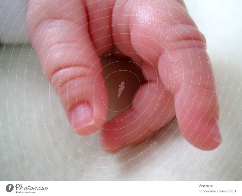junge Hand Finger Baby Zeigefinger Daumen klein Mensch Haut zeigen Hinweisschild Makroaufnahme Nahaufnahme