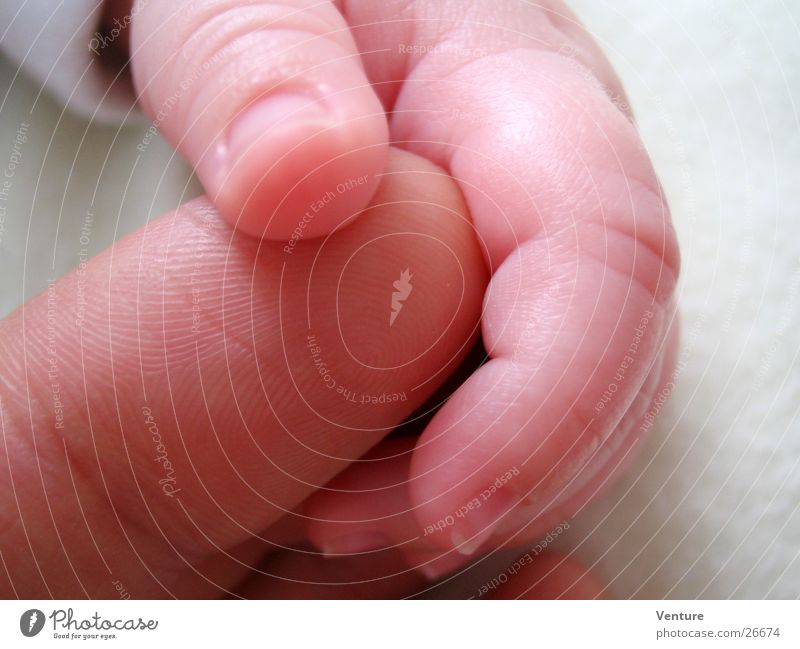 good feeling Finger klein Hand Daumen Baby berühren festhalten Vertrauen Mensch Haut fangen Makroaufnahme Nahaufnahme Kontakt
