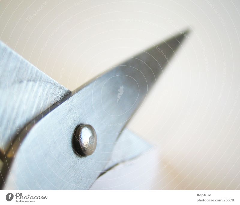 Schere geschnitten Werkzeug Haarschnitt Metall Nahaufnahme Makroaufnahme Perspektive Klinge Scharfer Gegenstand