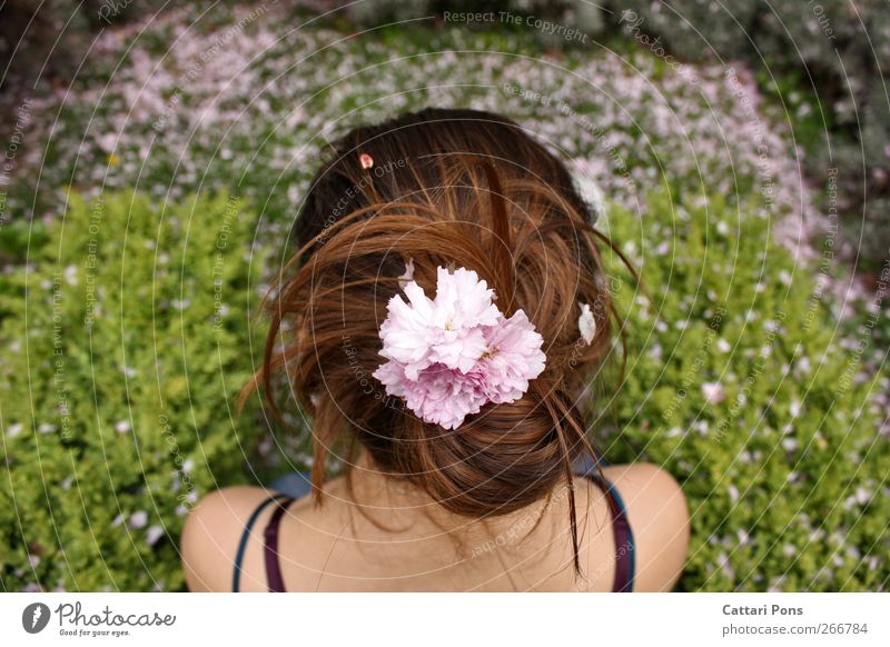 Spring Days Freude Haare & Frisuren Garten feminin Junge Frau Jugendliche Erwachsene 1 Mensch Pflanze Blume Gras Sträucher Blatt Blüte Accessoire brünett Zopf